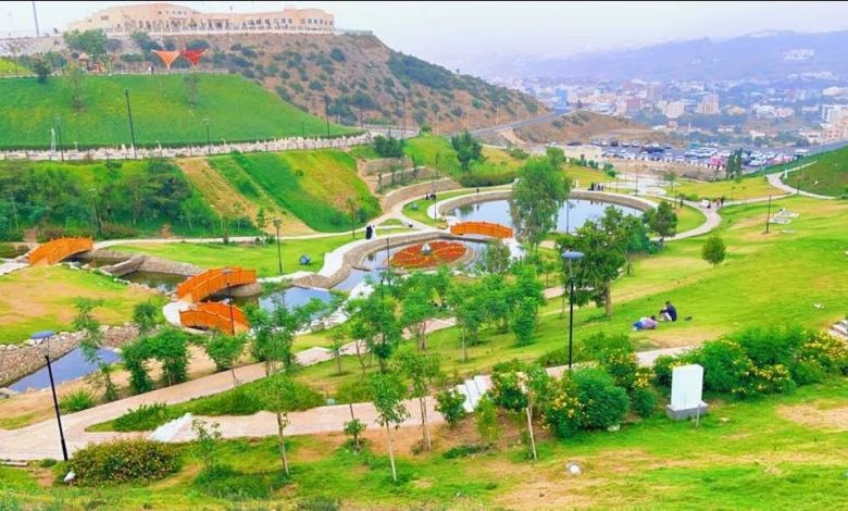 Le Jardin des fleurs du parc Prince Hussam à Al-Baha se pare de 30 000 plants de roses
