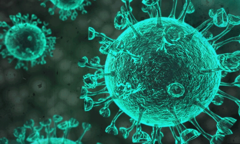Cyclospora aux États-Unis : hausse des cas et alertes sanitaires