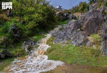 Des pluies estivales renforcent l’attrait des sites naturels à Al-Baha