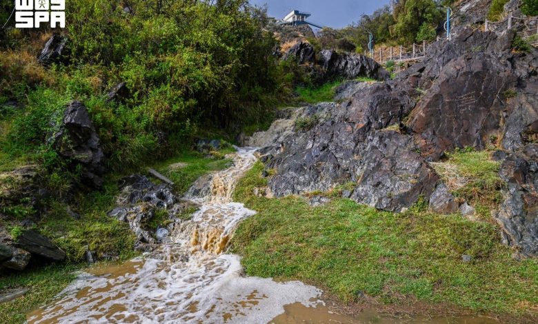 Des pluies estivales renforcent l’attrait des sites naturels à Al-Baha