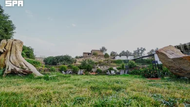 Les fermes rurales d’Al-Baha, une expérience entre nature et patrimoine