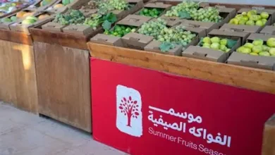 La saison des fruits d'été dynamise l'économie d'AlUla