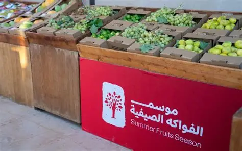 La saison des fruits d'été dynamise l'économie d'AlUla