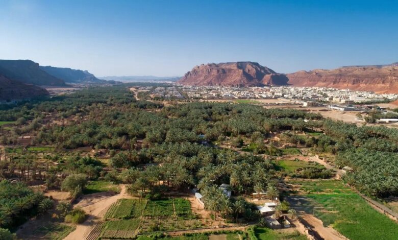 La saison « Les Récoltes d’AlUla » 2026-2027 soutient une agriculture durable
