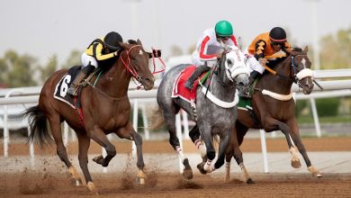 L’hippodrome King Khalid à Taïf lance la saison estivale