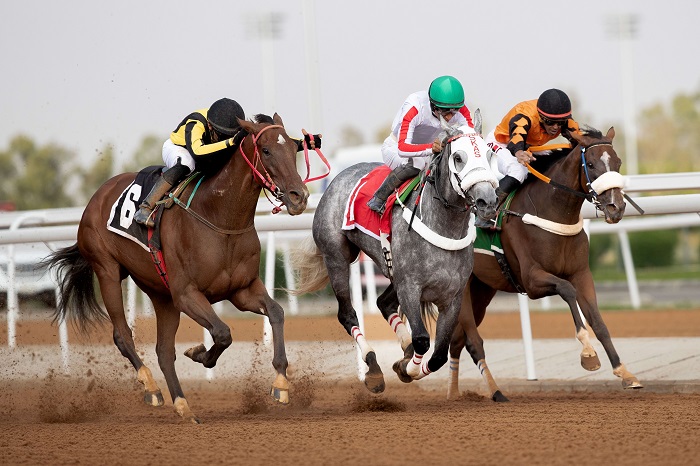 L’hippodrome King Khalid à Taïf lance la saison estivale