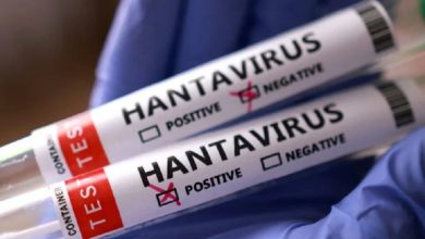 L’OMS annonce la fin de l’épidémie de hantavirus