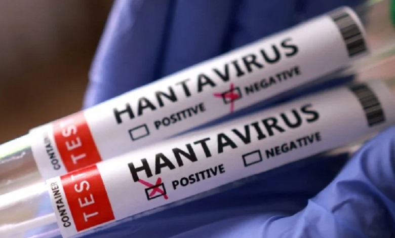 L’OMS annonce la fin de l’épidémie de hantavirus