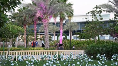 Les grands parcs de Djeddah attirent les visiteurs durant l’été 2026