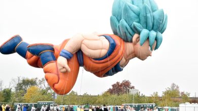 Investissements saoudiens en France : un vaste projet de loisirs près de Paris