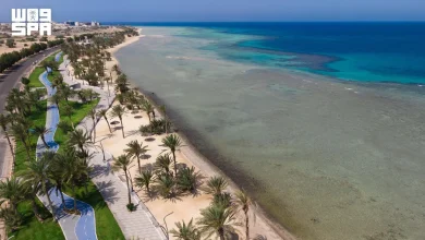 La plage d’Al-Daqm attire les visiteurs à Umluj