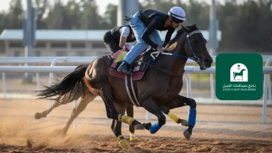 Saison hippique de Taïf 2026 : cinq coupes et 1,7 million de riyals de prix