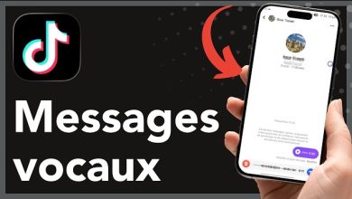 TikTok teste les appels vocaux dans les messages privés