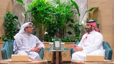 Le prince héritier rencontre le vice-président des Émirats à Riyad