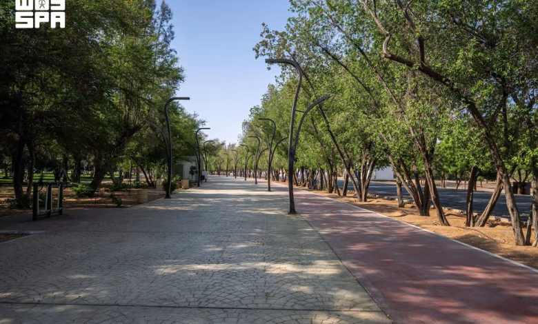 Le parc du roi Fahd à Najran améliore la qualité de vie au cœur de la nature