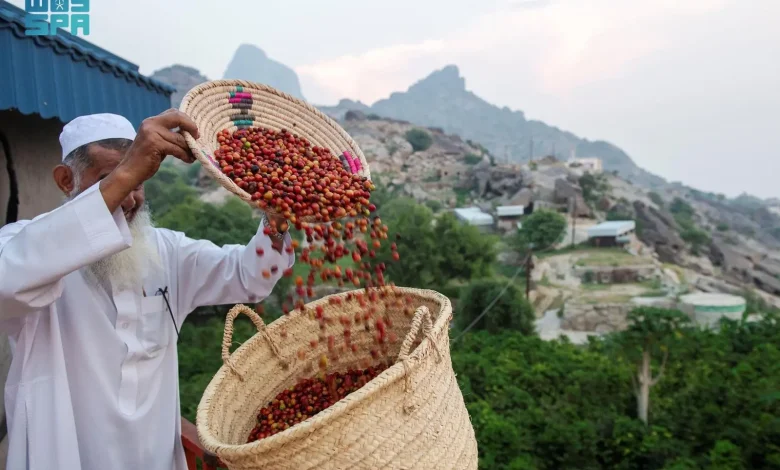 À l’occasion de la Journée internationale du café, le café saoudien renouvelle son authenticité