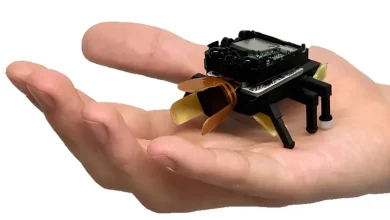 BeetleBot : un robot inspiré des scarabs contrôlé par le doigt