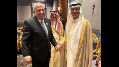 L’Égypte et l’Arabie saoudite préparent la mise en service de leur liaison électrique