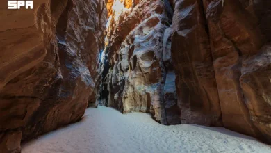 Les montagnes occidentales de Tabuk : des passages rocheux et des paysages géologiques fascinants