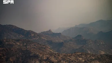Les montagnes d’Al-Mohammadiyah : des paysages naturels qui dessinent les contours d’Al-Shafa