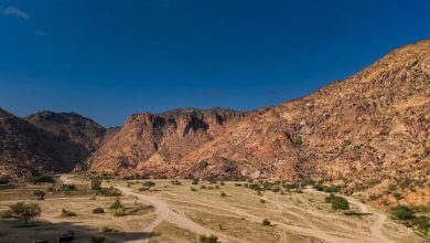 Tihama de La Mecque : nature et patrimoine historique