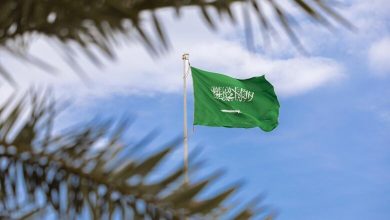 L’Arabie saoudite en tête des exportateurs de dattes pour la 4e année consécutive