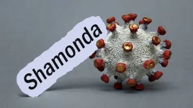 France : premier cas humain du virus Shamonda détecté