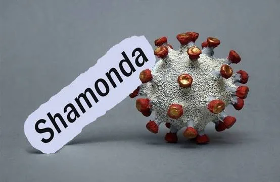 France : premier cas humain du virus Shamonda détecté