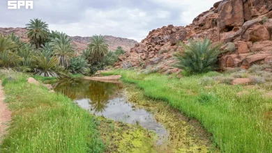 Salma Geopark ; Une reconnaissance internationale pour le tourisme géologique